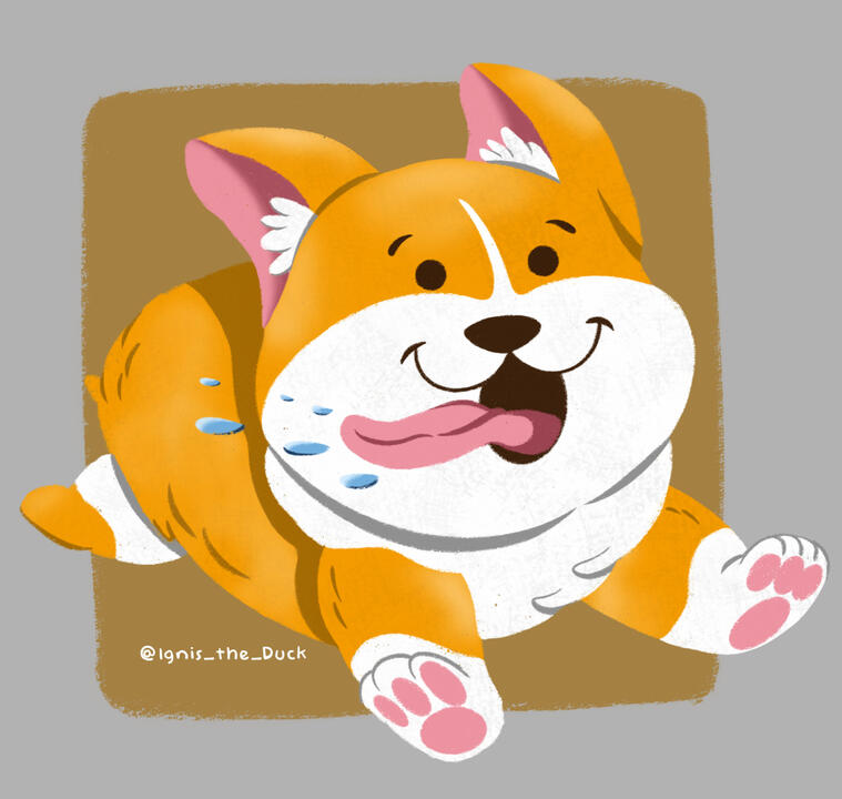 Corgie practice